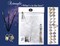 Paint by Number for Adults Beginner Students Canvas ONLY,Ideal Gift Choice for Festival, DIY Acrylic Painting Kit for Room Decor (Purple Flowers)